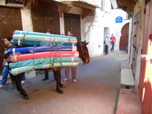 riad fes: la medina de Fes el Bali